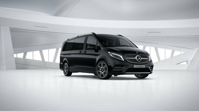 V 250 d